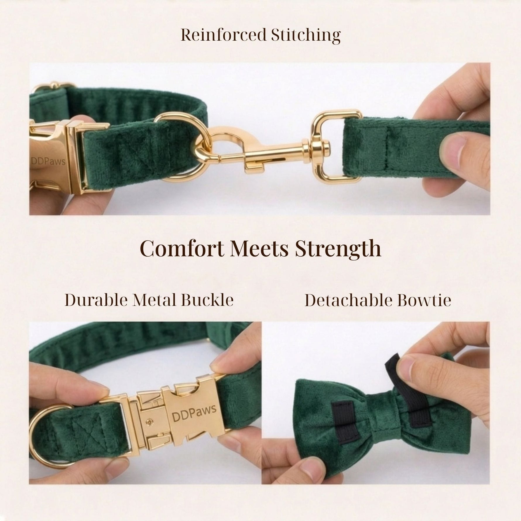 Teal velvet dog collar and bowtie with gold metal buckles and reinforced stitching
