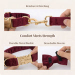 Red wine velvet collar set with reinforced stitching and gold buckle plus detachable bowtie