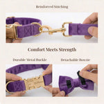 Velvet purple leash and collar set with gold buckles and detachable bowtie
