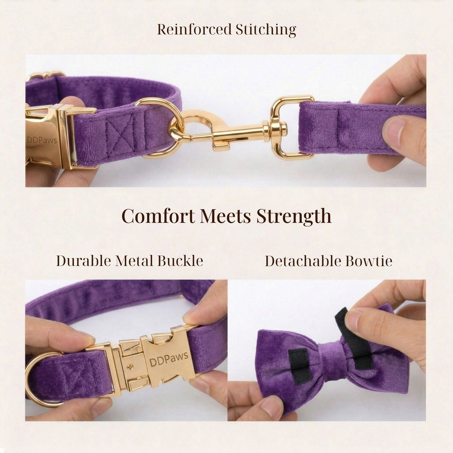 Velvet purple leash and collar set with gold buckles and detachable bowtie