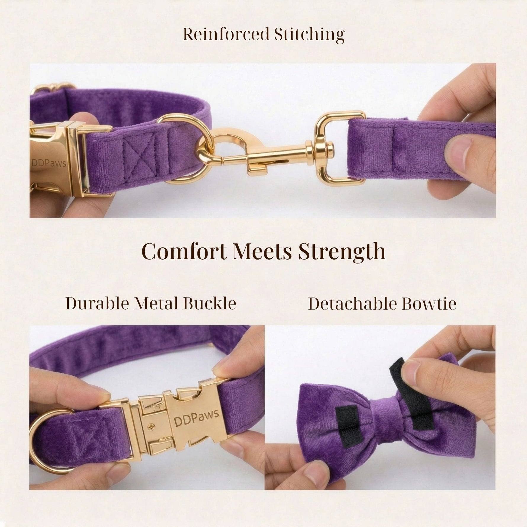 Velvet purple leash and collar set with gold buckles and detachable bowtie