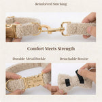 Beige teddy dog collar showing gold buckle and detachable bowtie