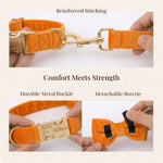 Orange velvet dog harness with reinforced stitching and metal buckle, detachable bowtie