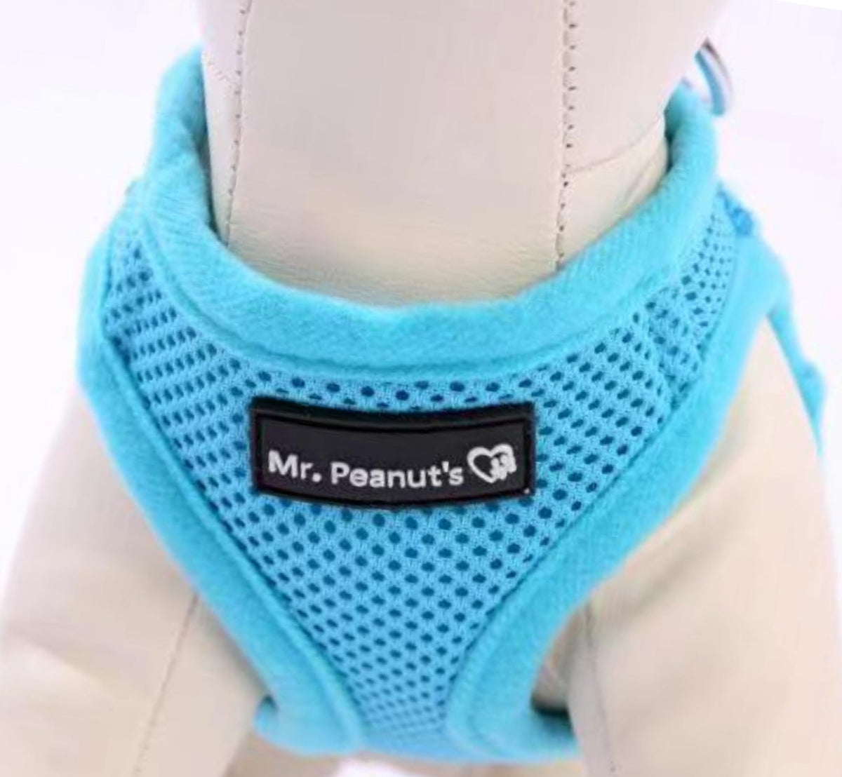 Blue mesh dog harness with padded neck ring and Mr. Peanut's logo patch