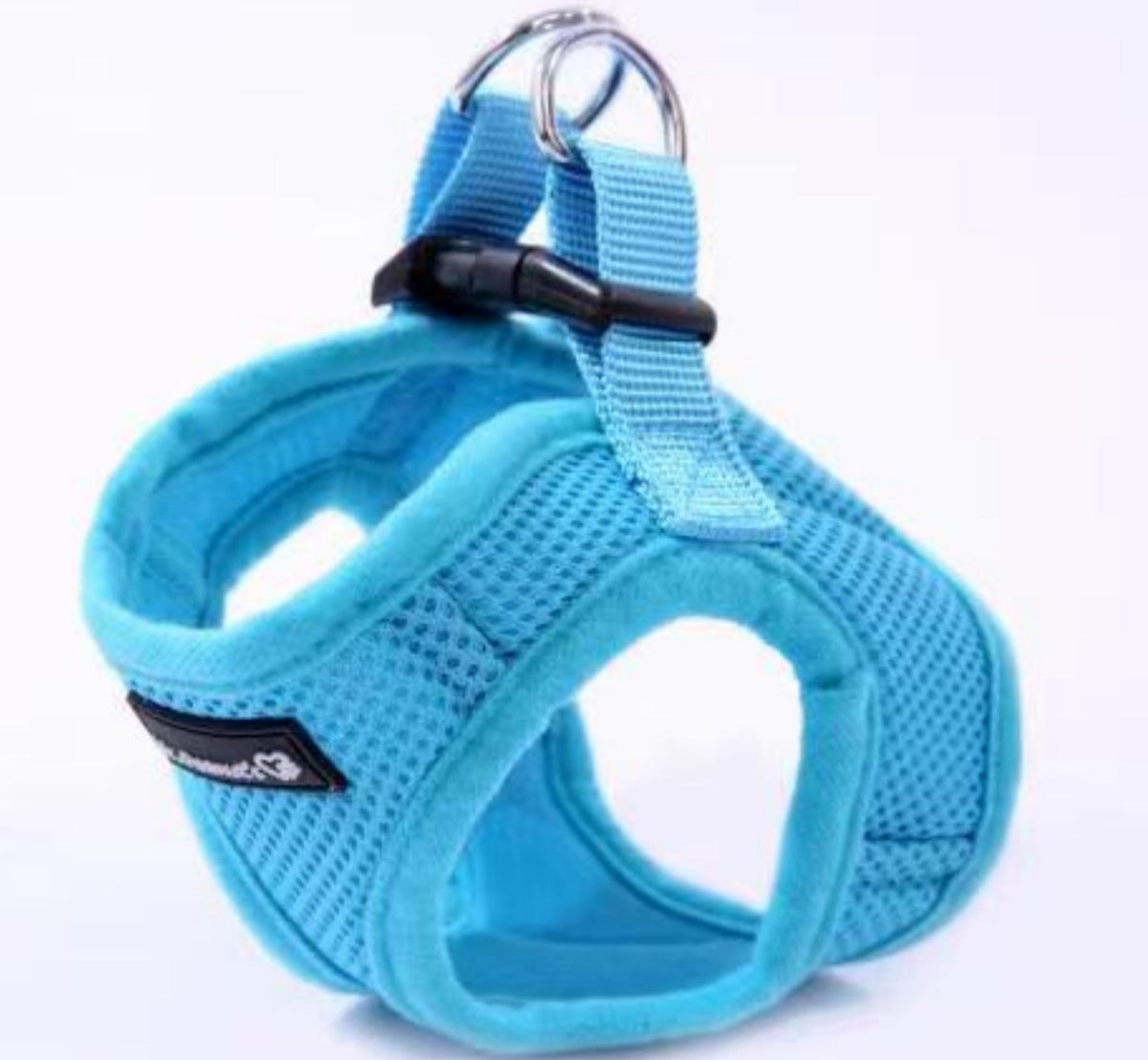 Turquoise mesh dog harness with front strap and D-ring