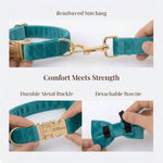 Turquoise velvet collar with gold buckle and detachable bowtie