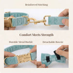 Teal velvet dog collar close-up with gold metal buckle and detachable bowtie