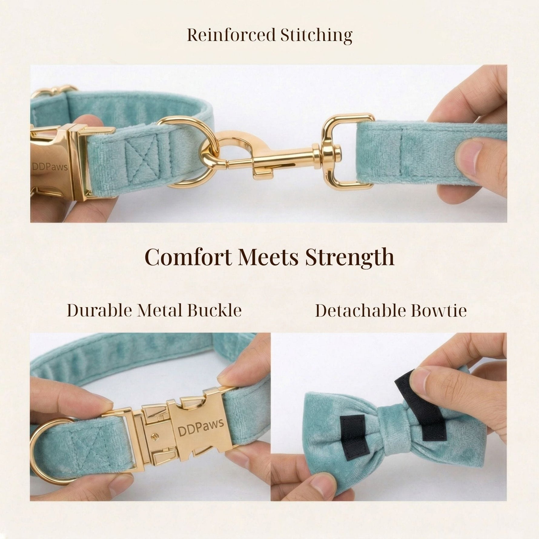 Teal velvet dog collar close-up with gold metal buckle and detachable bowtie