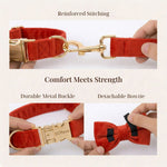 Red velvet dog collar set with reinforced stitching, metal buckle, and detachable bowtie