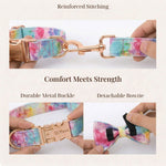 Pet harness and collar hardware detail with reinforced stitching and rainbow print