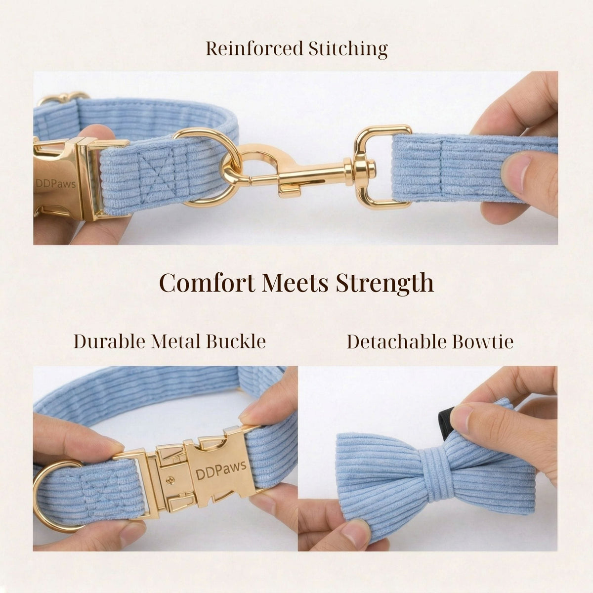 Blue corduroy dog collar set with reinforced stitching and gold metal buckle close-up