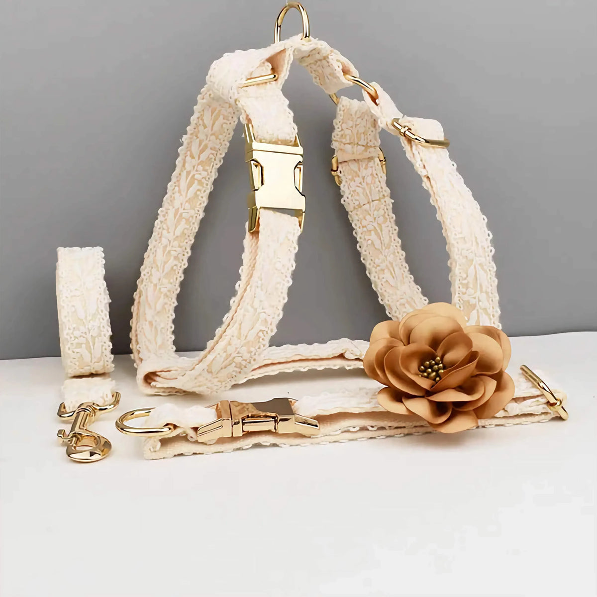 Cream lace dog harness set with gold hardware and tan flower detail