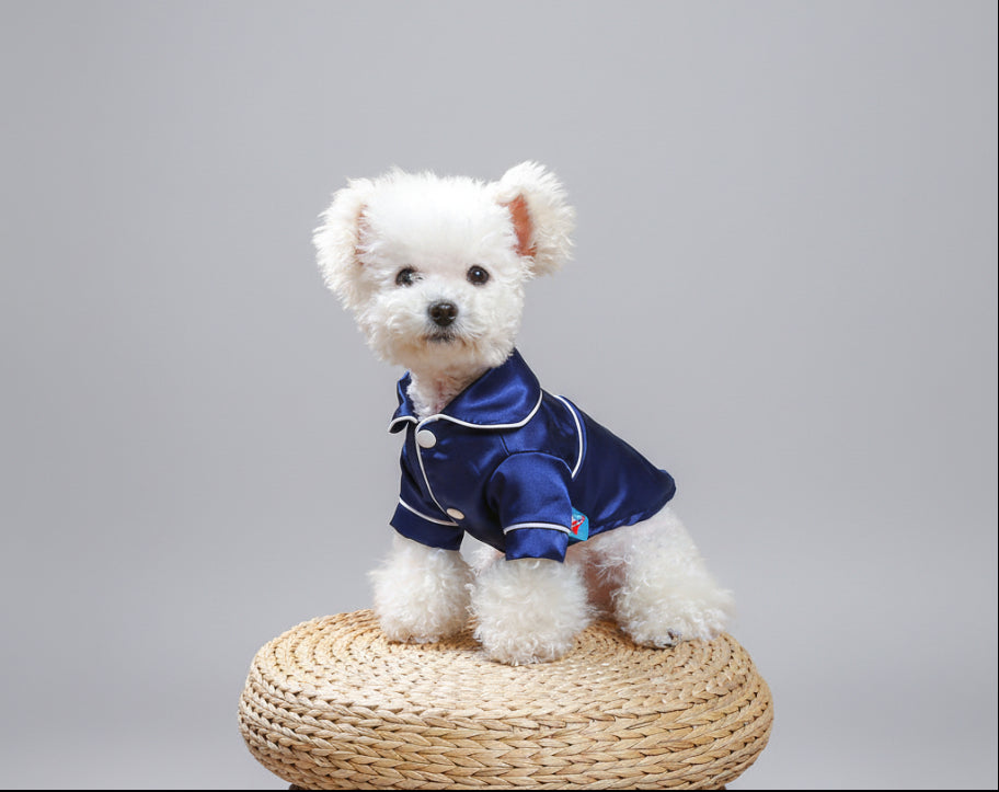 Blue satin pet pajama shirt with white trim and button front, collar style