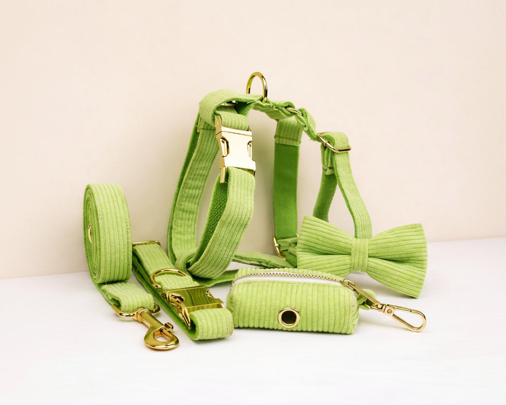 Apple green corduroy harness with matching leash and bow tie set