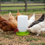 Gravity chick waterer with green base and translucent white refill jug