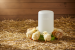 Gravity chick waterer on straw bedding, with green base and translucent white jug