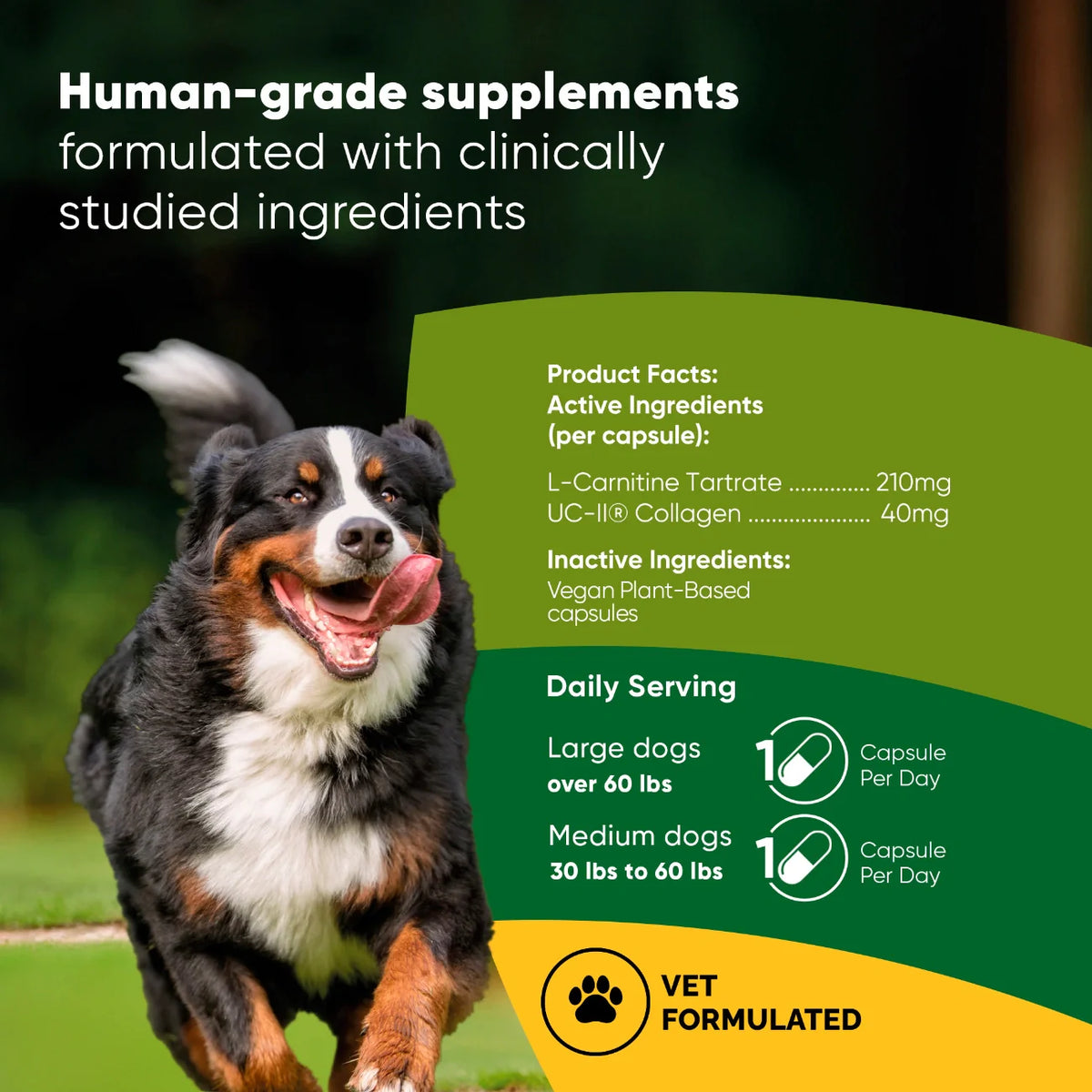 Human-grade dog supplement facts with active ingredients and daily serving