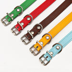 PU leather dog collars with silver buckles in green, red, brown, gold, and light blue