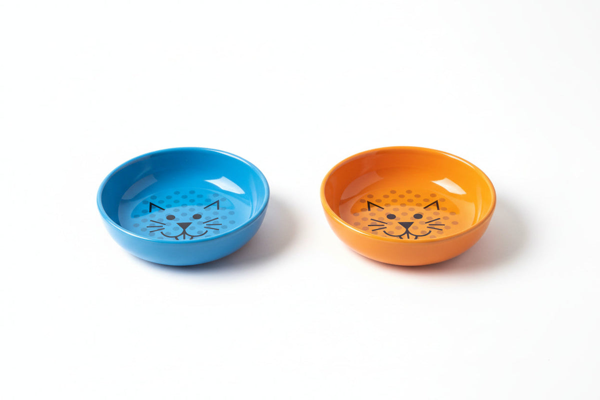 8 oz cat dish in blue and orange with cat-face print