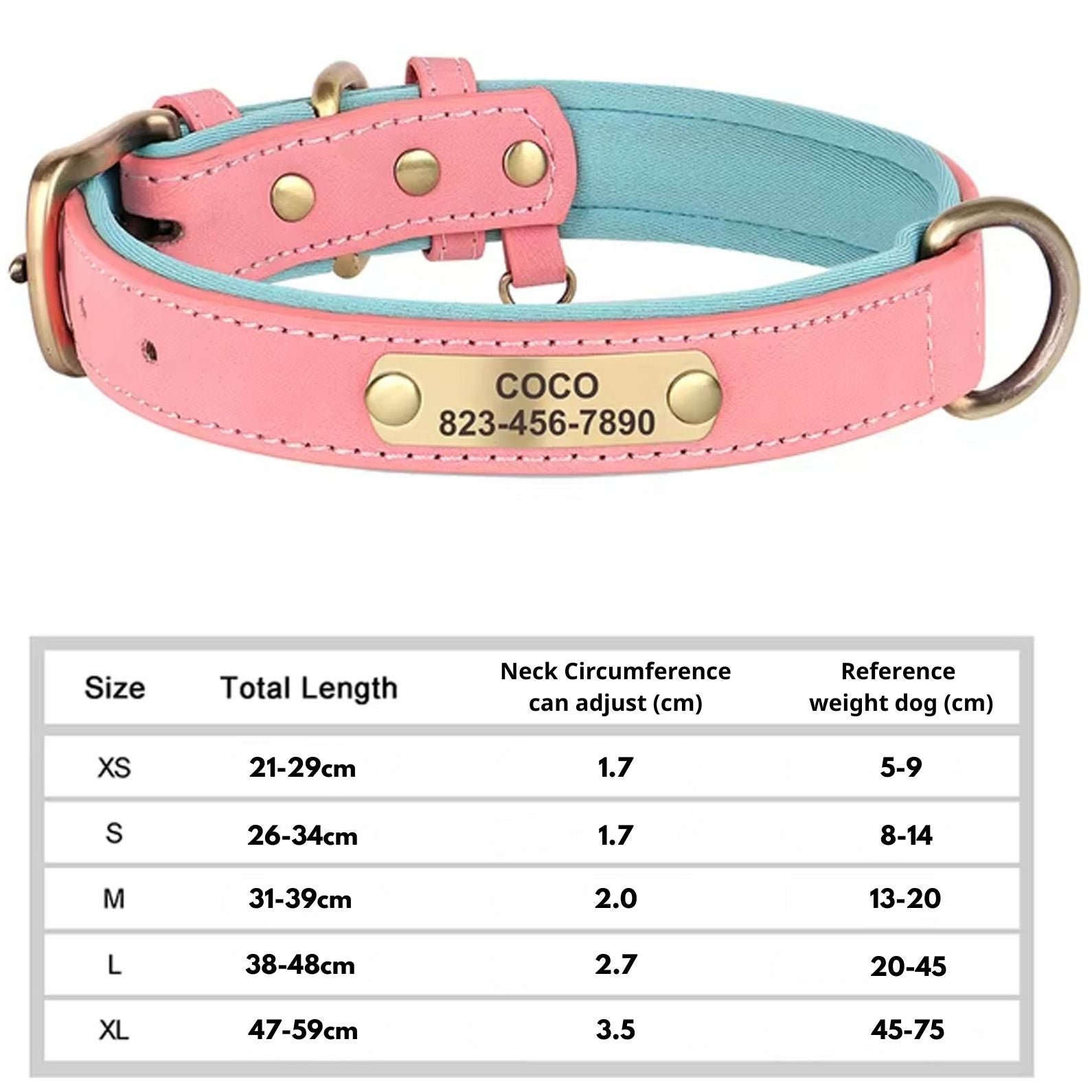 Pink dog collar with blue lining and engraved brass ID tag, gold ring clasp