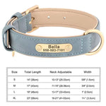 Light blue dog collar with beige engraved ID tag and gold D-ring