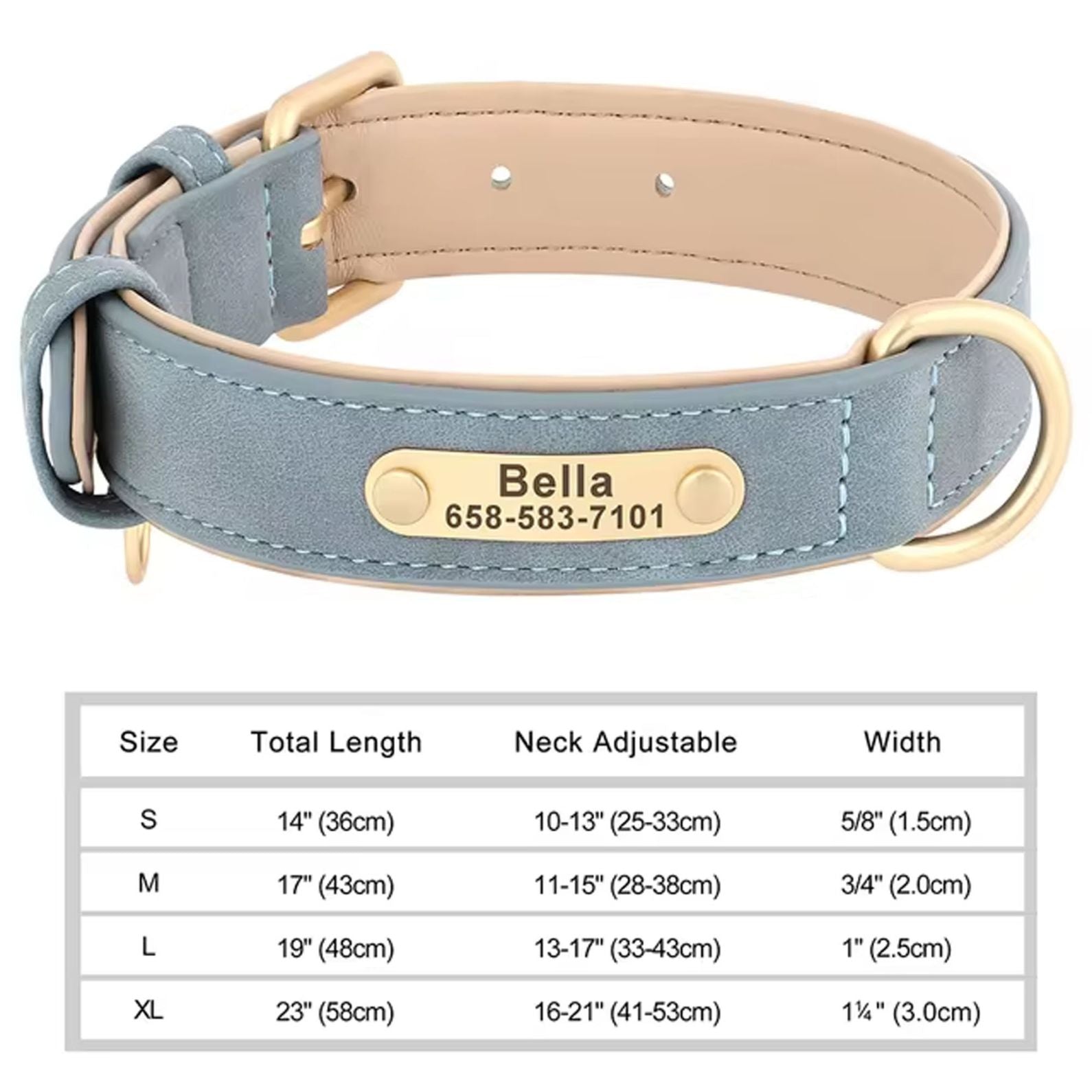 Light blue dog collar with beige engraved ID tag and gold D-ring