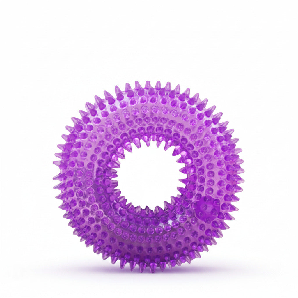 Purple squeaky dog ball toy ring with raised nubs and outer spikes