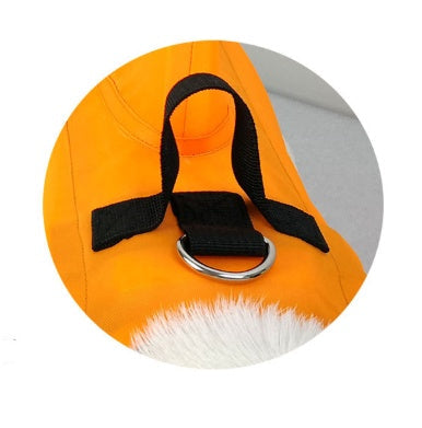Orange dog swim suit detail: black strap with metal D-ring attachment