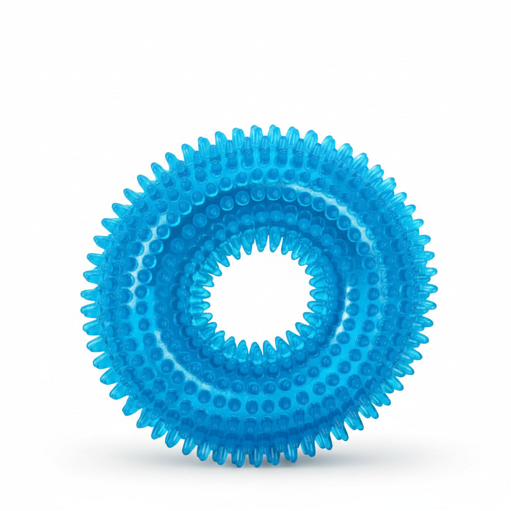 Bright blue squeaky dog ball toy ring with raised bumps and spiky teeth