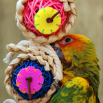 Parrot perched on braided vine ball toy with pink and yellow gear wheels