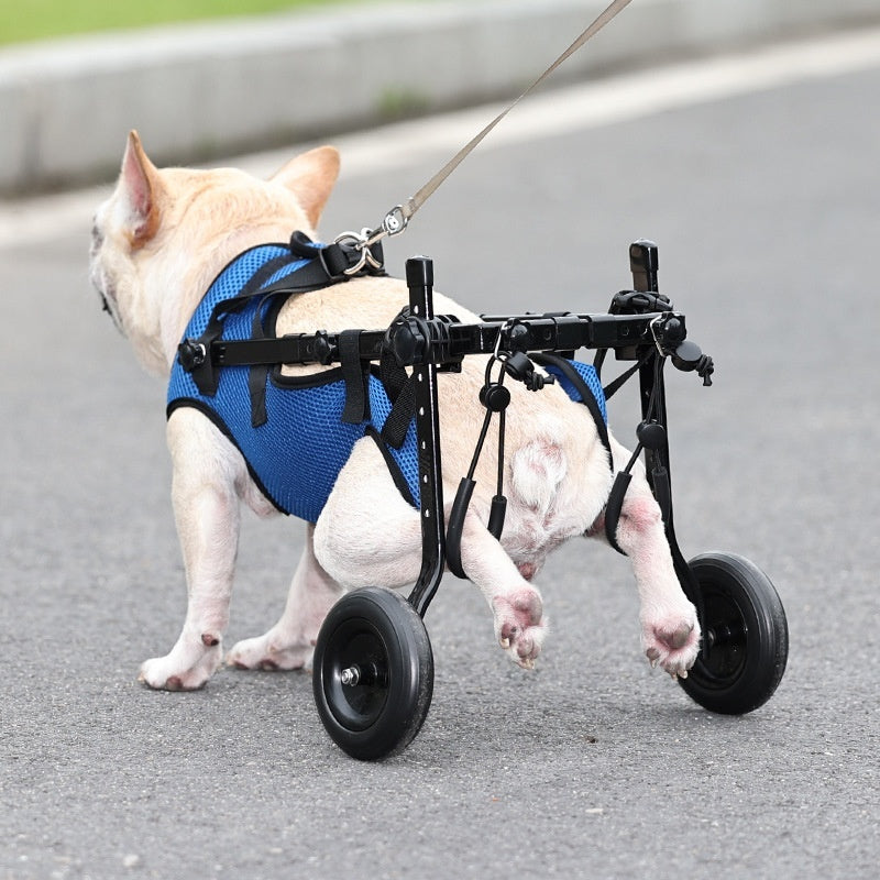 Blue dog wheelchair with mesh body, front harness, and four small wheels.