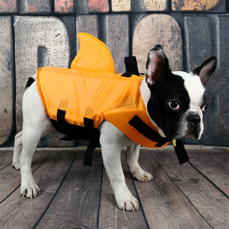 Orange dog swim suit with black straps and flotation hood, on all fours