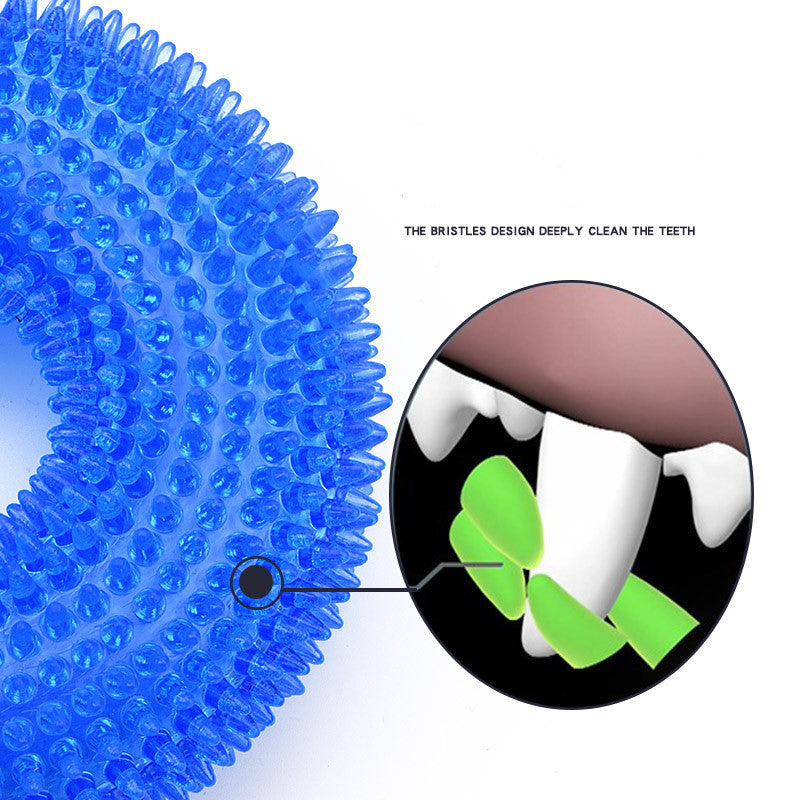 Close-up of blue spiky bristles on a squeaky dog ball toy