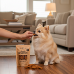 Dog eating square pumpkin biscuits from hand; Pumpkin Brew Biscuits pouch on floor