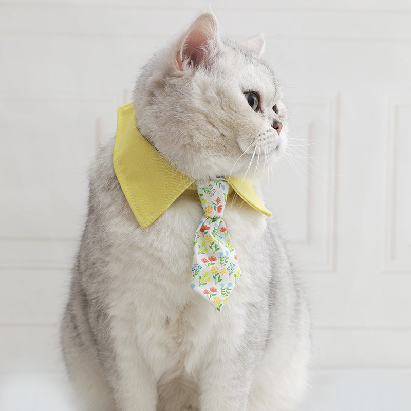 Cat collar with yellow bow and floral patterned necktie