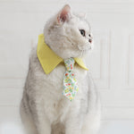 Cat collar with yellow bow and floral patterned necktie