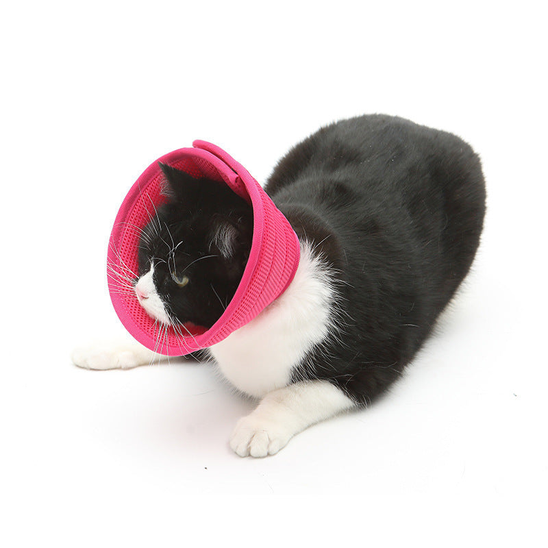 Soft recovery e-collar for dogs and cats, pink mesh cone around cat’s face