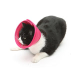 Soft recovery e-collar for dogs and cats, pink mesh cone around cat’s face