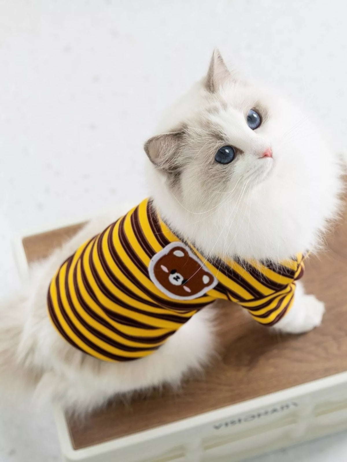 Yellow-and-black striped plush pet sweater with cute bear face patch