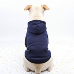 Dog sweater with pocket patch, navy blue knit and hood