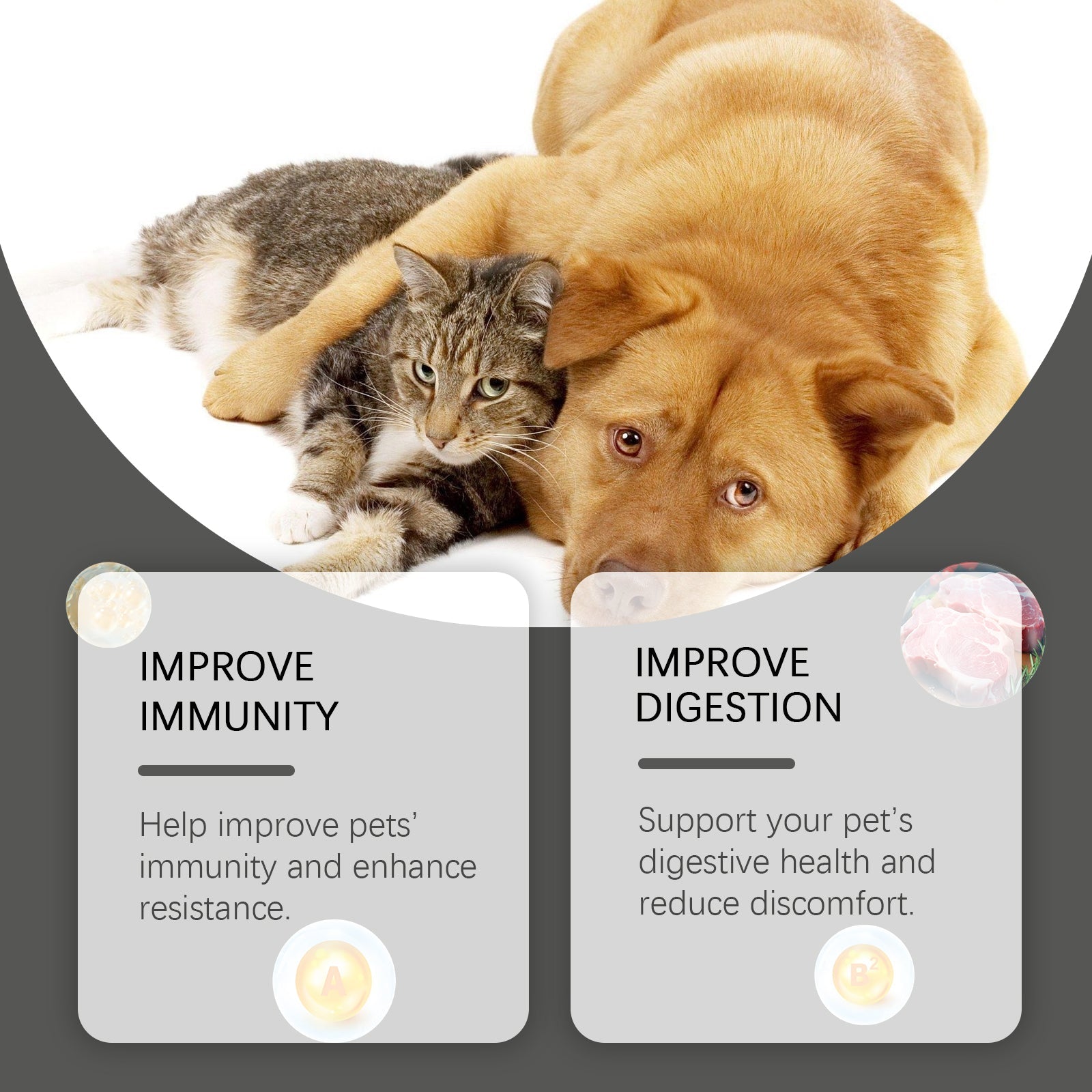 Probiotic supplement tablets for pets with improve immunity and digestion cards