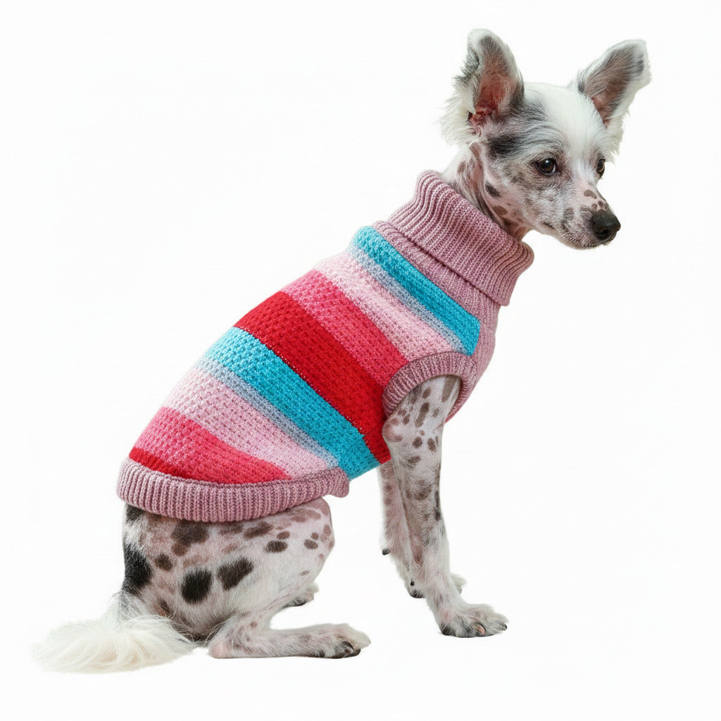 Pet striped acrylic sweater with pink, red, teal bands and ribbed turtleneck on dog