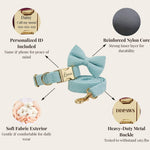 Turquoise corduroy dog collar, leash, and bowtie with gold hardware