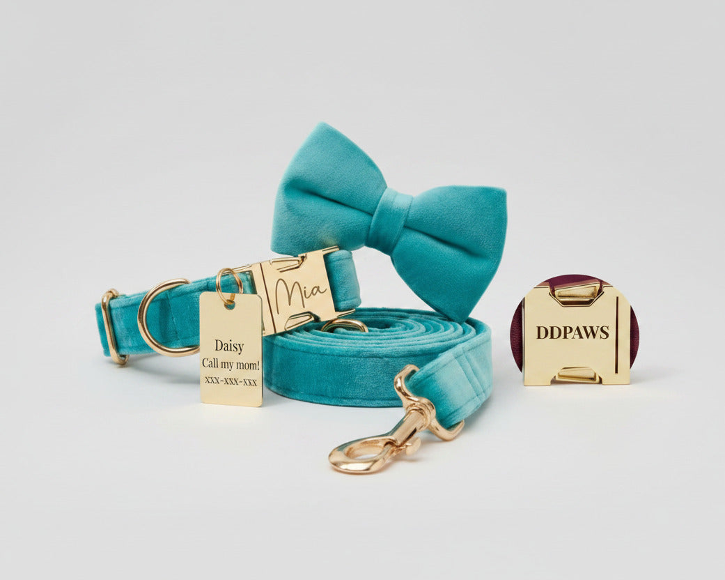 Turquoise velvet bowtie collar, matching leash, and ID tag card