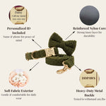 Olive teddy dog collar with personalized ID tag, reinforced core, and metal buckle