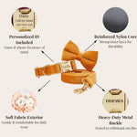 Orange velvet bowtie collar set with reinforced nylon core and heavy-duty metal buckle