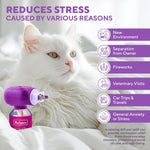 White cat with purple plug-in calming diffuser and refill bottle on bedding