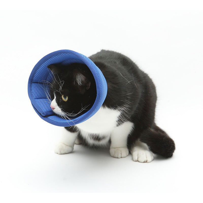 Soft recovery e-collar for dogs and cats, blue mesh cone around cat’s head