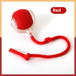 Red interactive cat toy ball with clear nozzle and red rope cord attachment