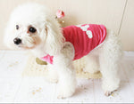 Red dog polyester vest on small dog with bear bone print